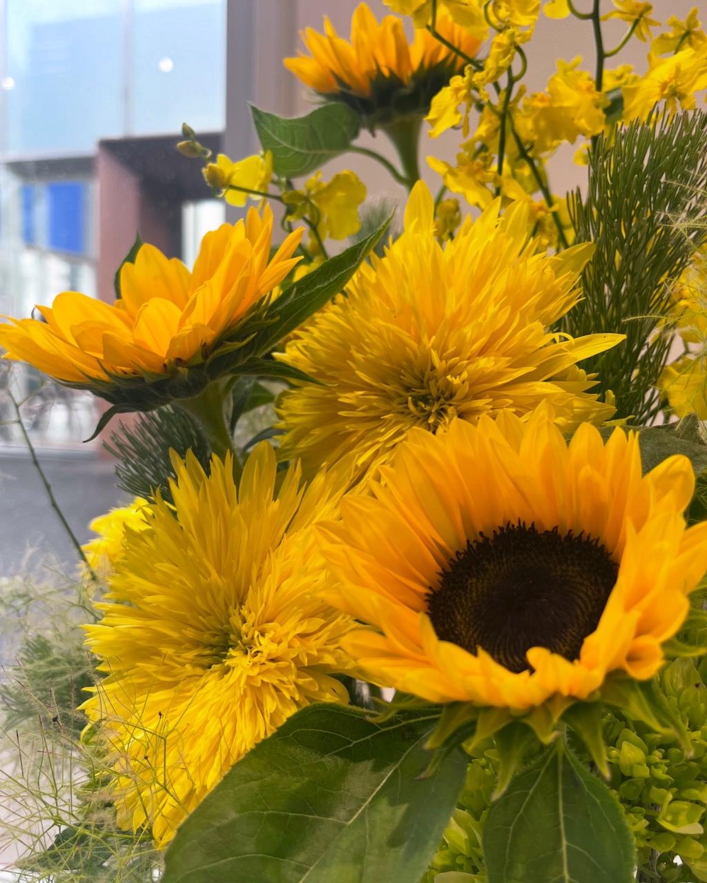 🌻今週のお花🌻