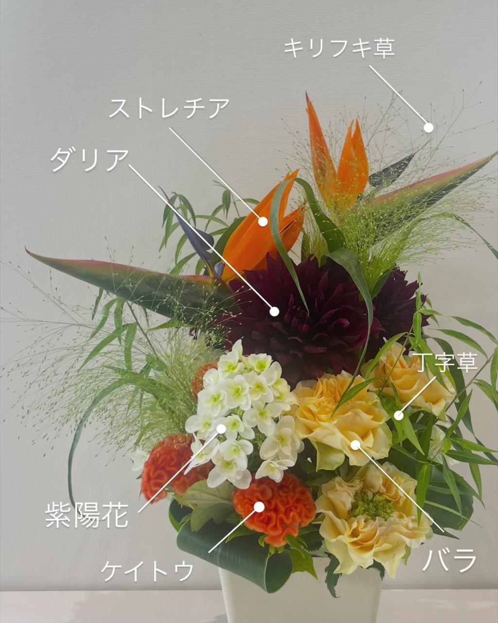 今週のお花🌼