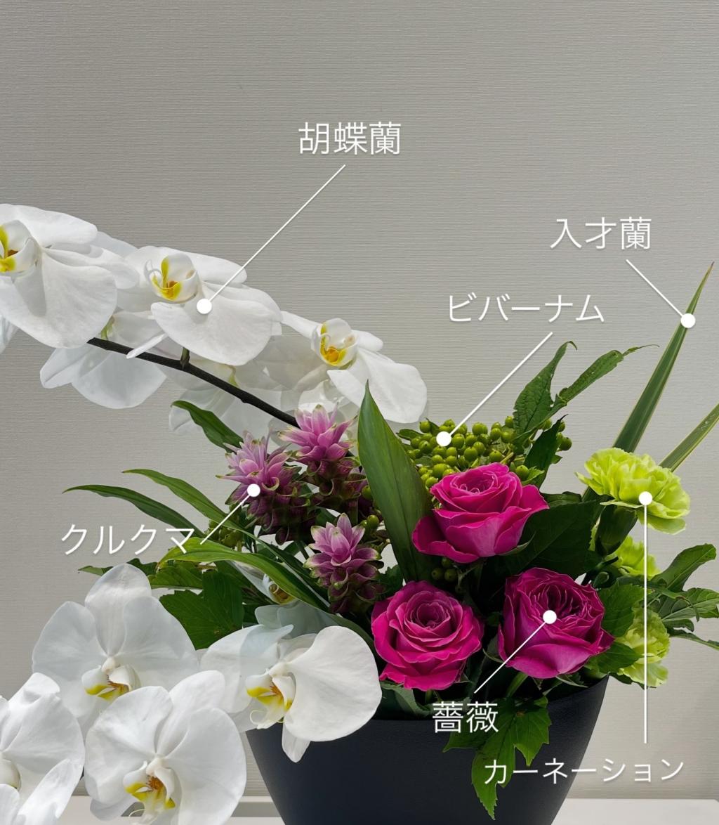 今週のお花🌼