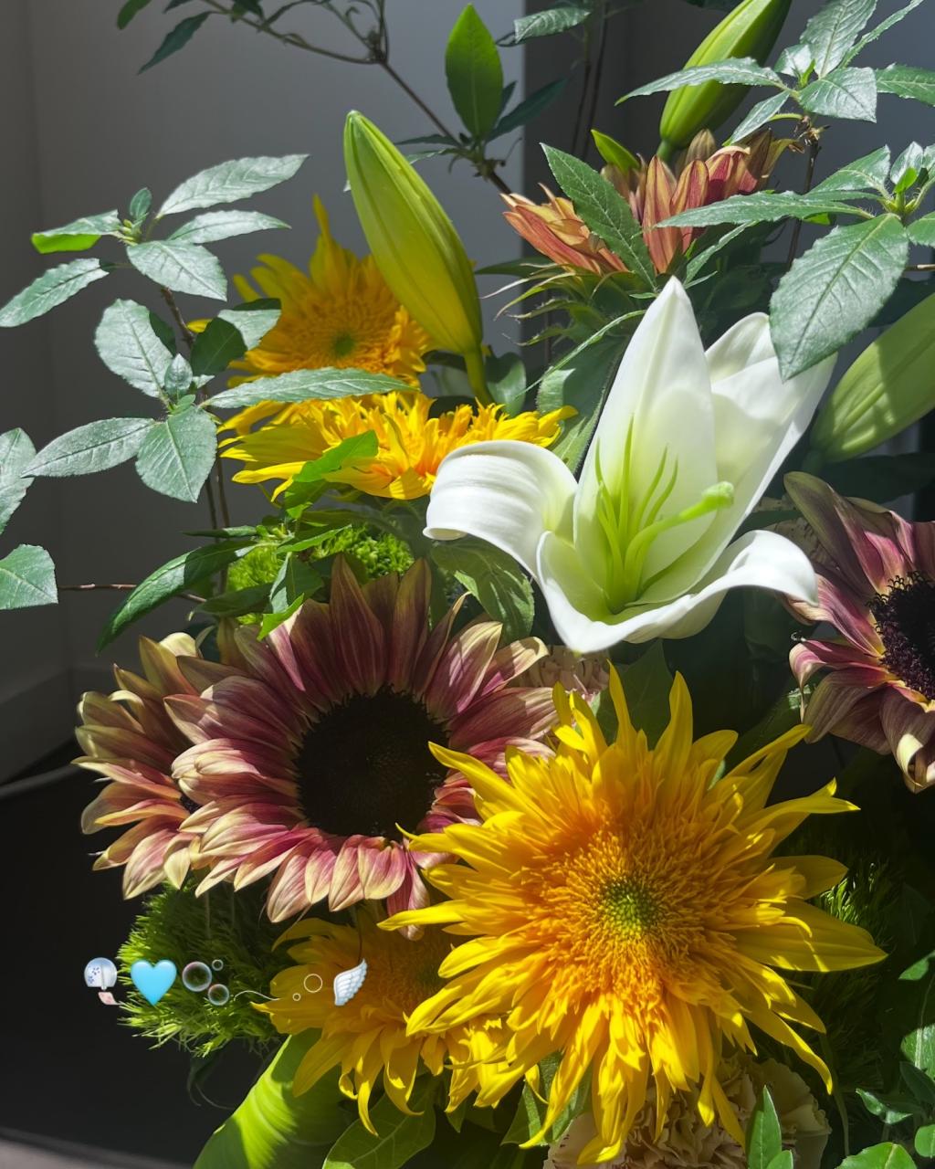 🌻今週のお花🌻