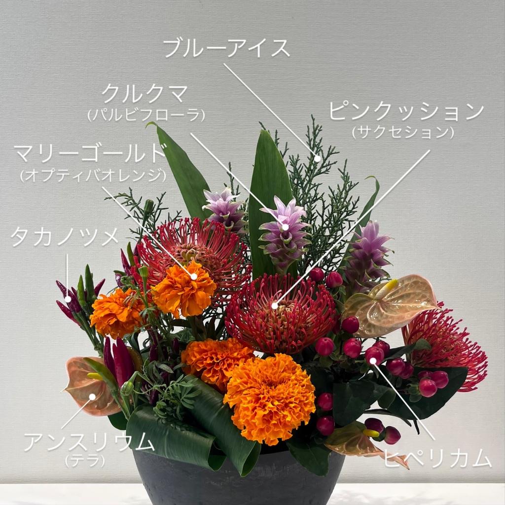 今週のお花💐