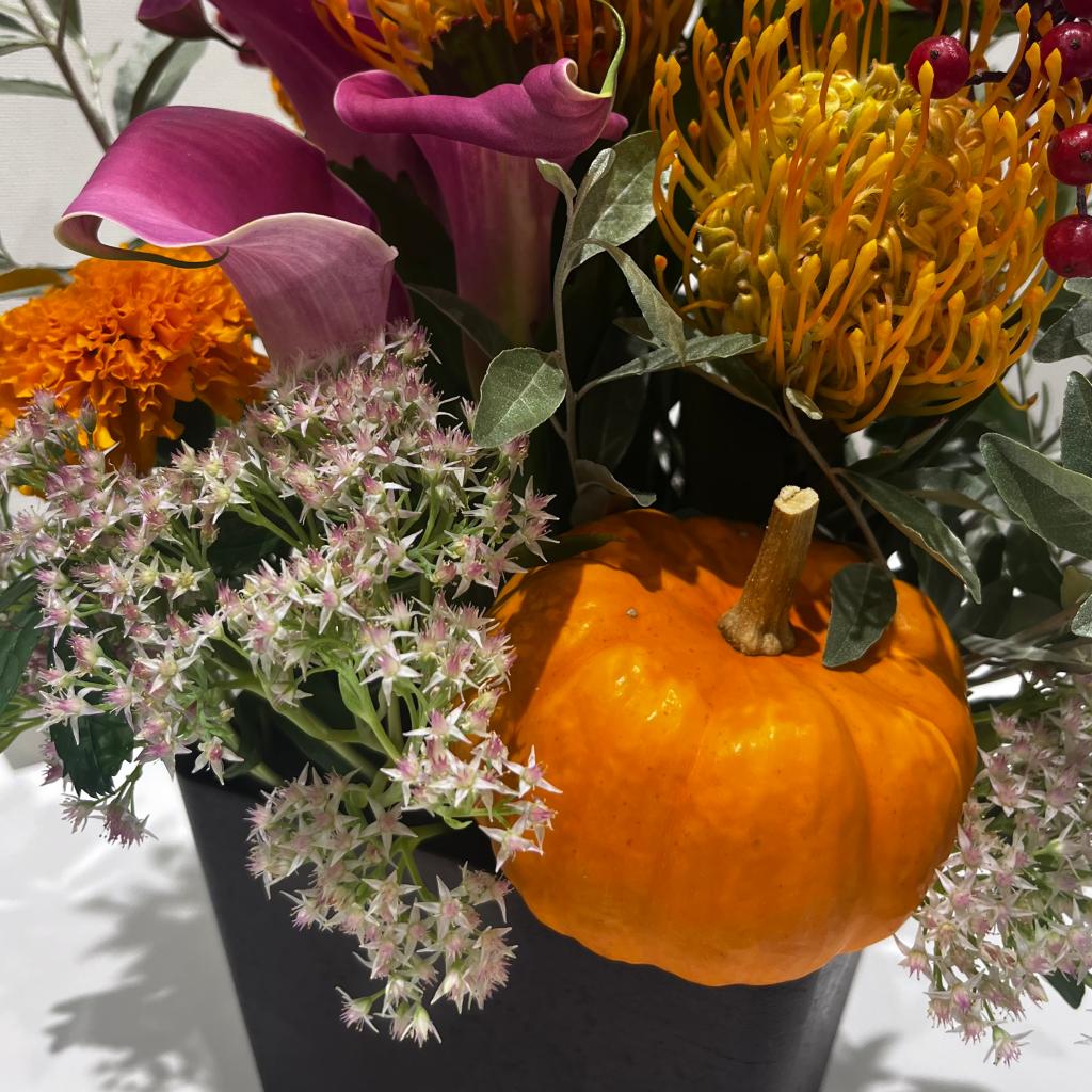 🎃今週のお花👻