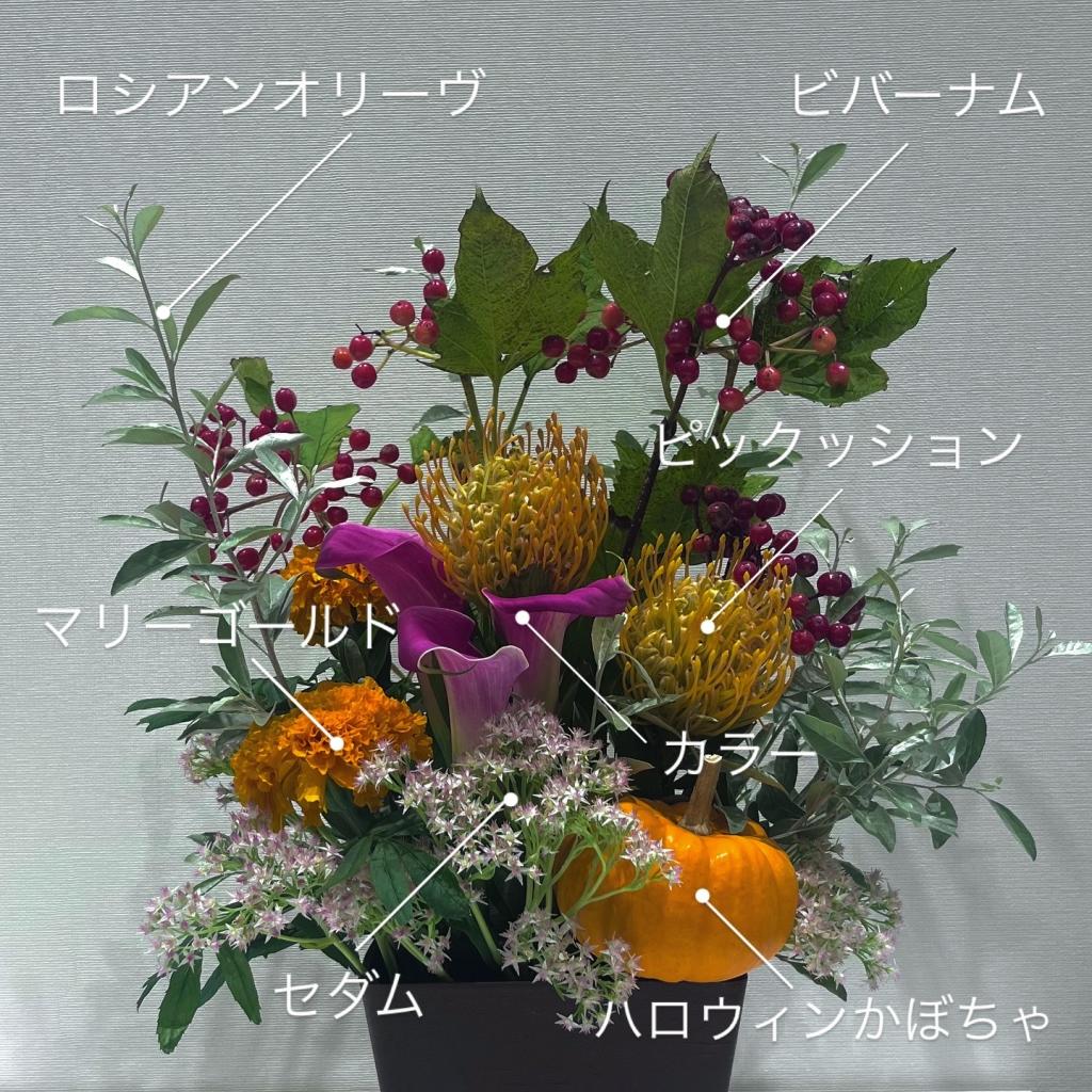 🎃今週のお花👻