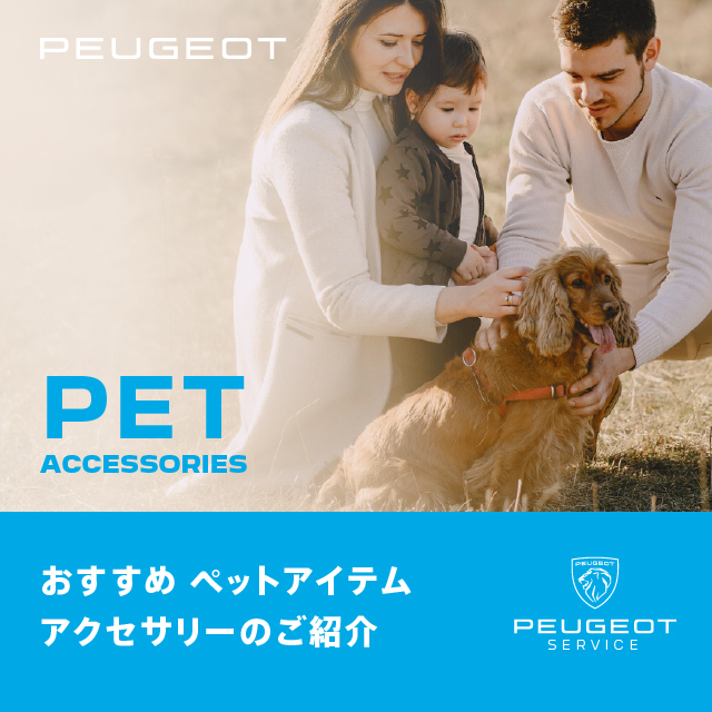 おすすめのペットアイテムのご紹介です🐶🐱🤍