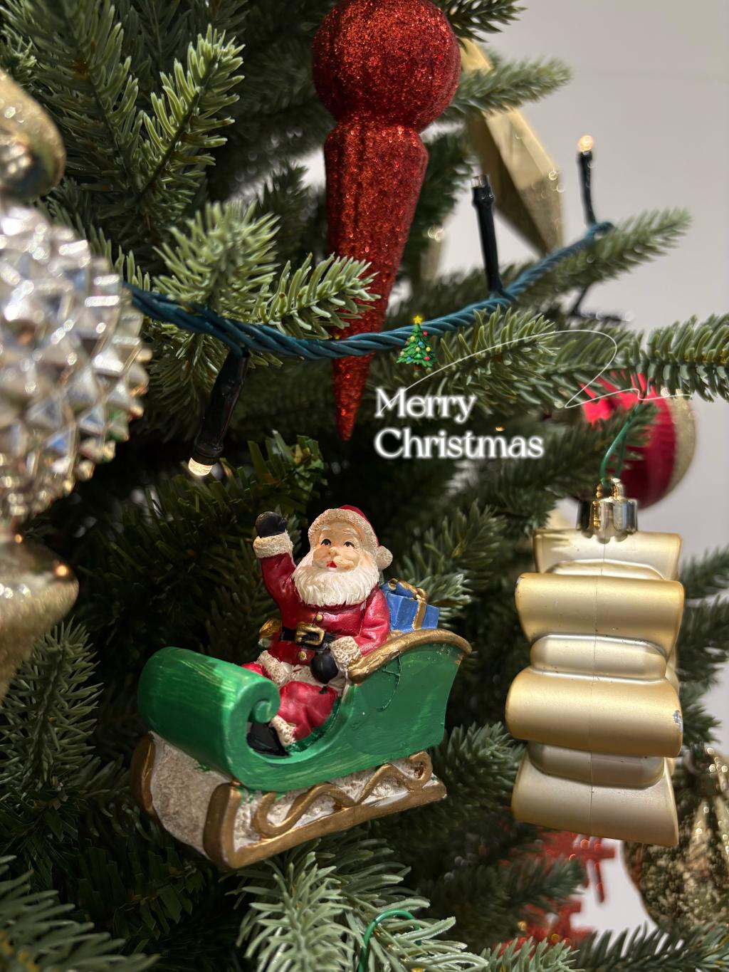 Merry Christmas☆彡