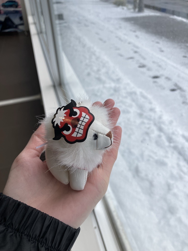 北陸の朝に興味津々…！