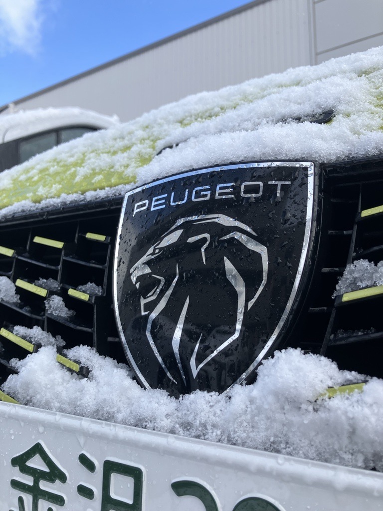 北陸の朝に興味津々…！