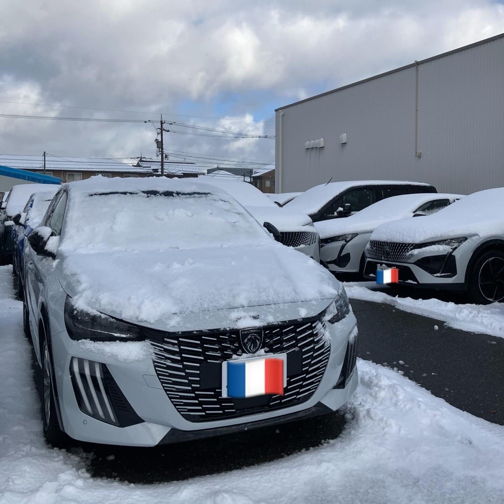 北陸の朝に興味津々…！