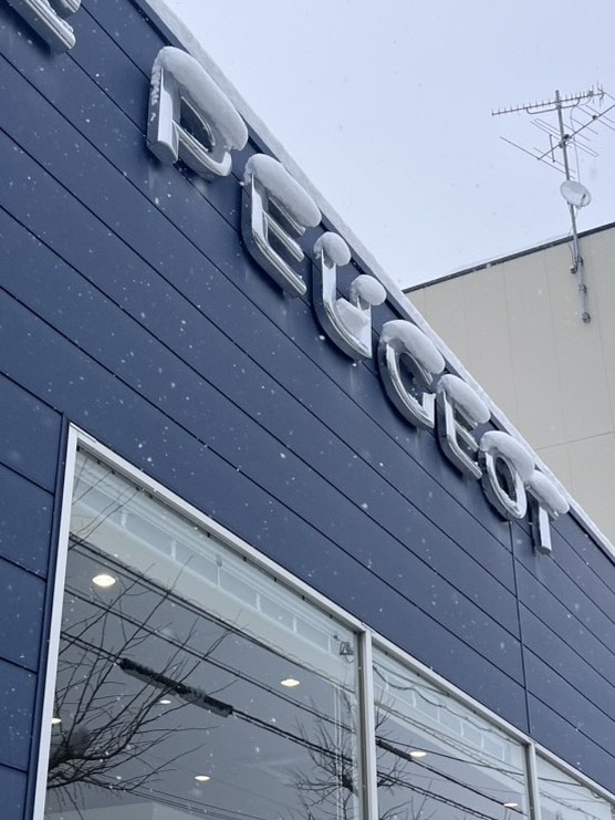 積もりましたね…⛄