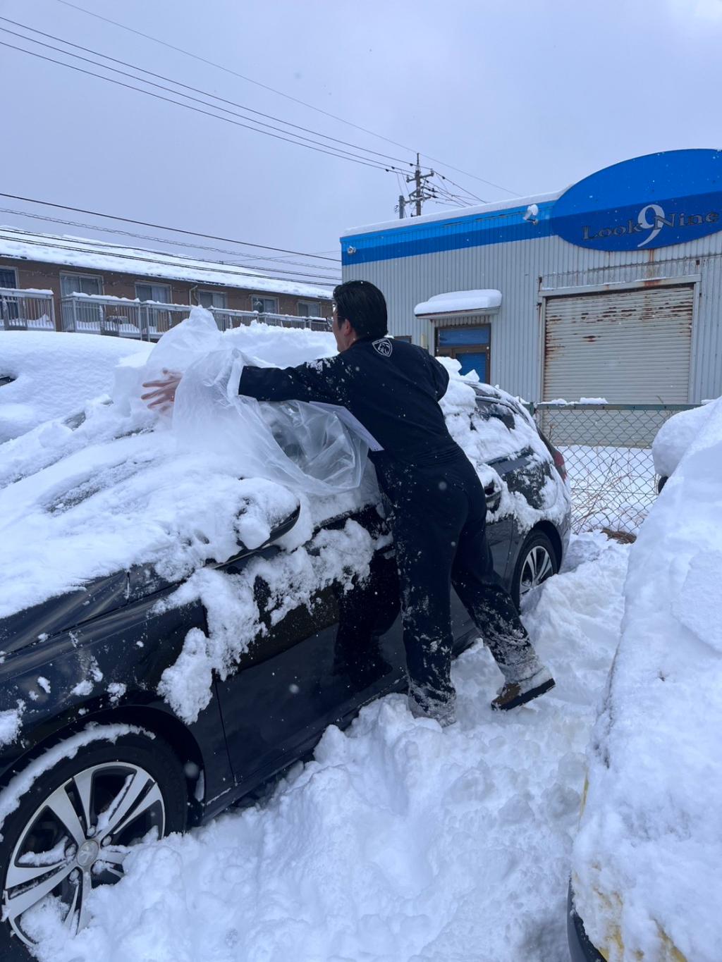 積もりましたね…⛄