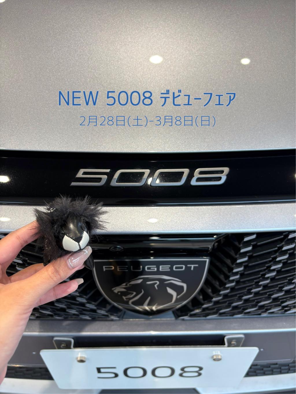 NEW 5008 デビューフェア開催します🐾