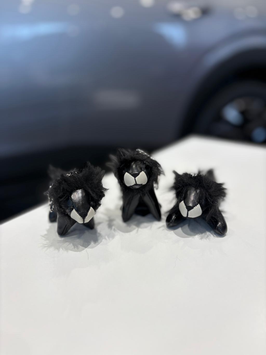 NEW 5008 デビューフェア開催します🐾