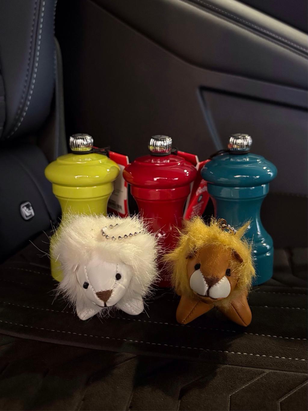 試乗してみませんか🎶