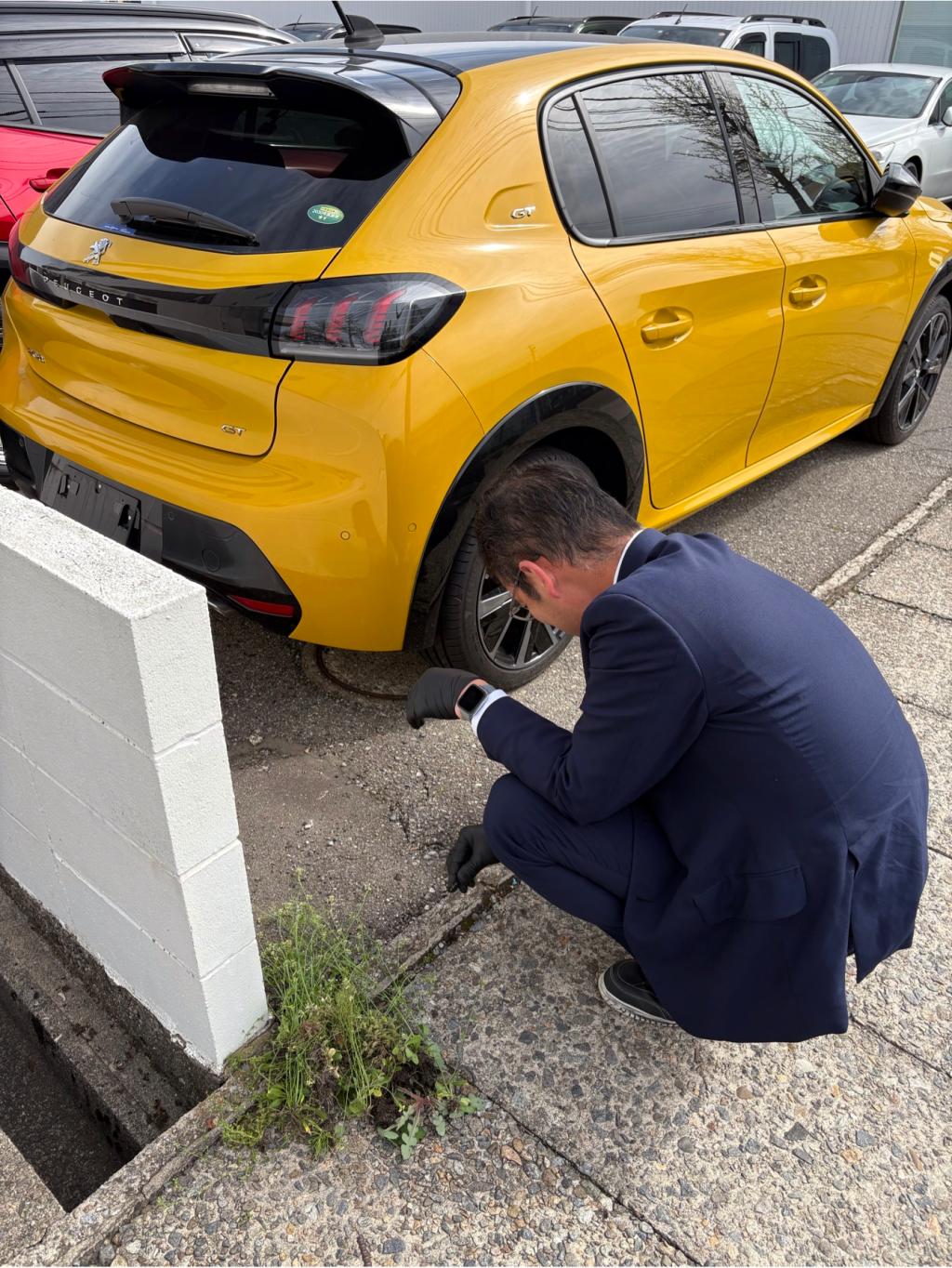 毎月恒例の朝清掃🌱🧹