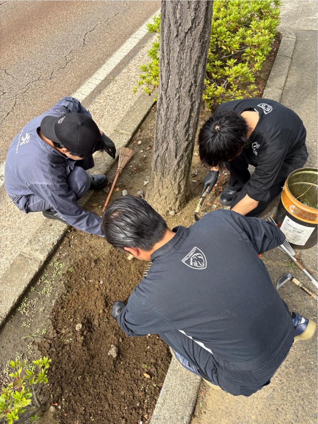 毎月恒例の朝清掃🌱